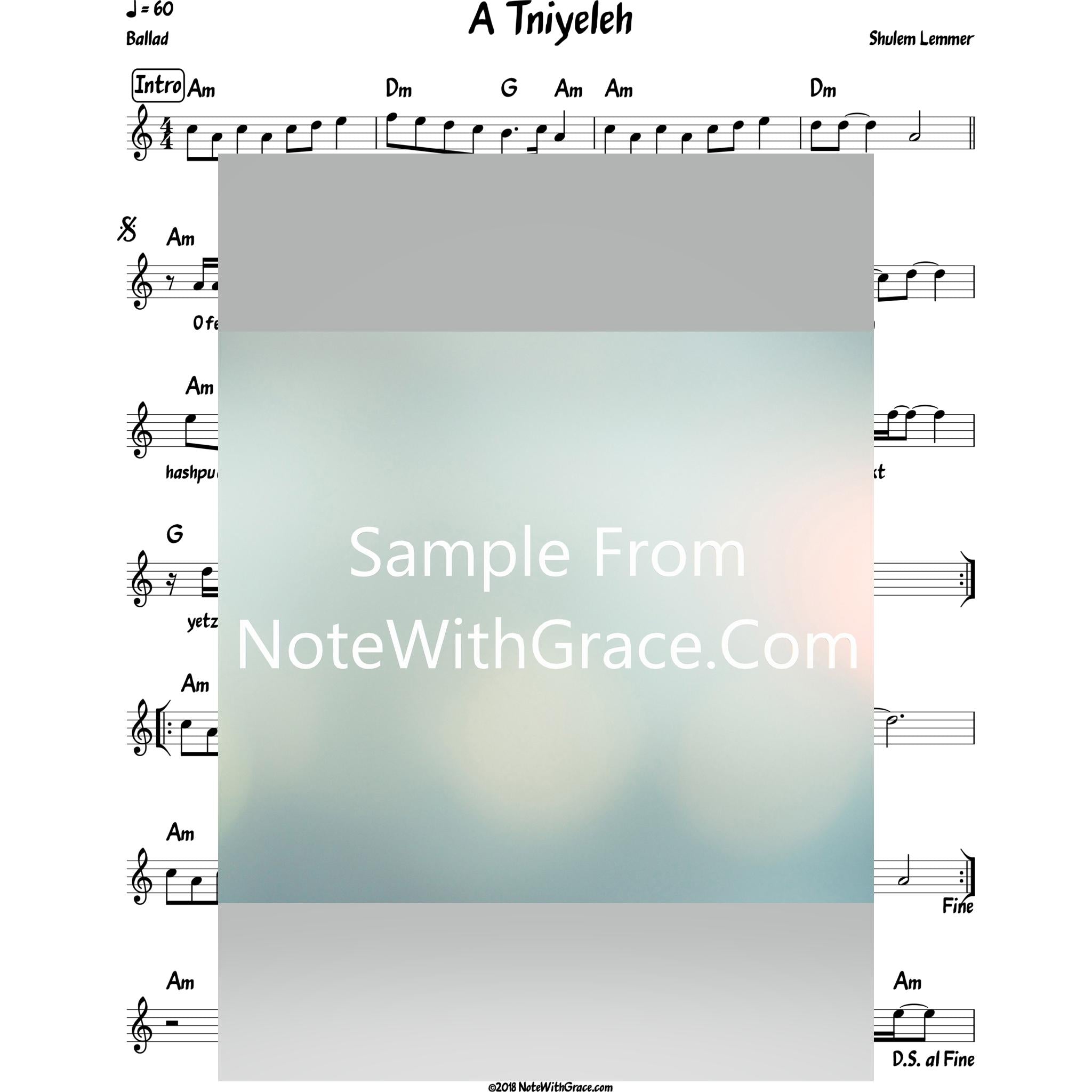 A Tni'eleh Lead Sheet (Shulem Lemmer) Album: Shulem-Sheet music-NoteWithGrace.com