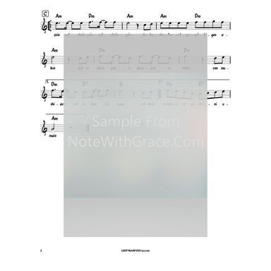 Meloich - Zol Shoin Zein Lead Sheet (Yingerlach) Album: Yingerlich Released 2018-Sheet music-NoteWithGrace.com